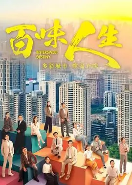电视剧 夏日晚风 2024 都市情感剧